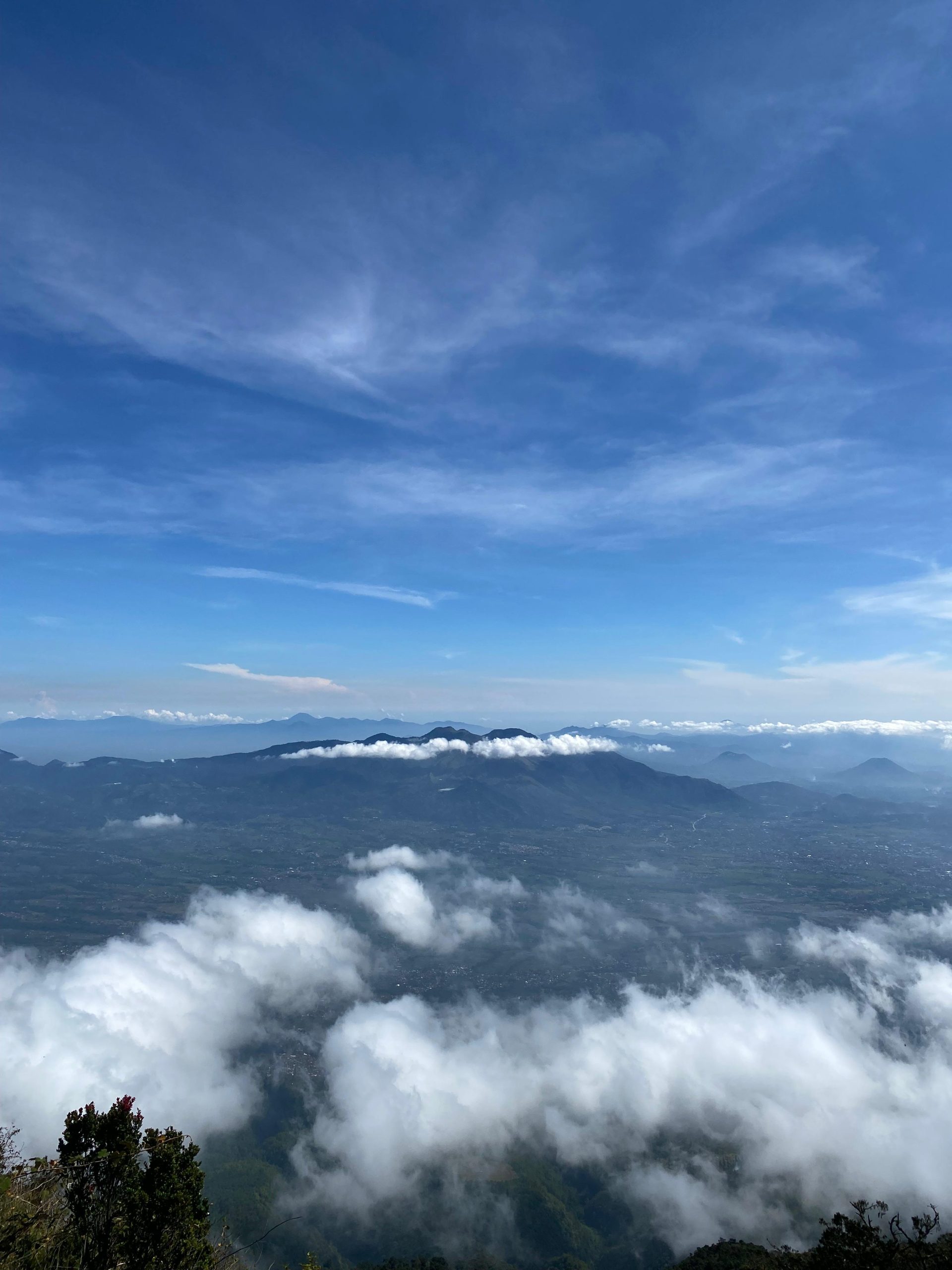 WhatsApp Image 2025-11-15 at 12.57.48 (1)