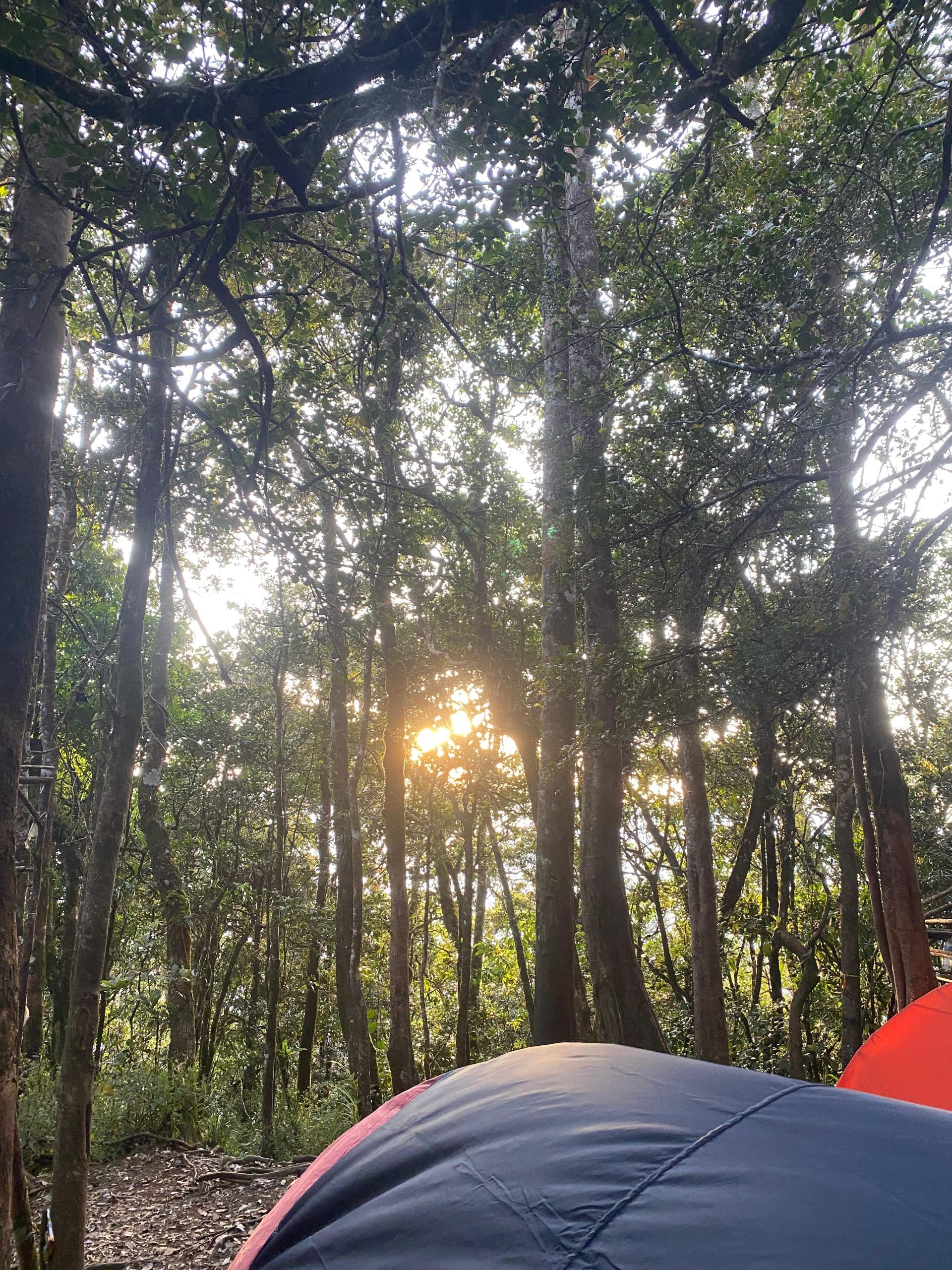 WhatsApp Image 2025-11-15 at 12.57.48