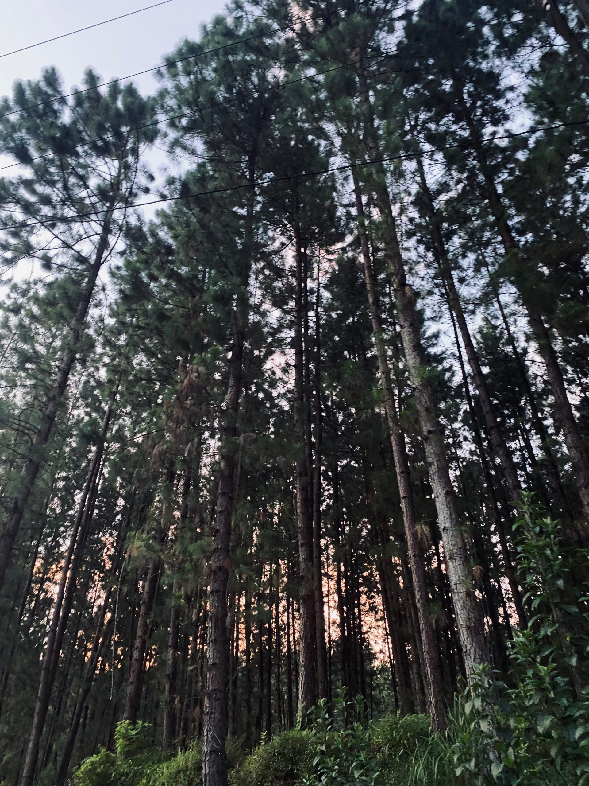 WhatsApp Image 2025-11-15 at 12.57.49